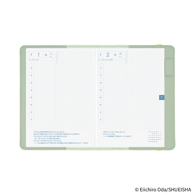 Hobonichi A6 Cover - ONE PIECE magazine: End of Luffy’s Dream (Mint Green)