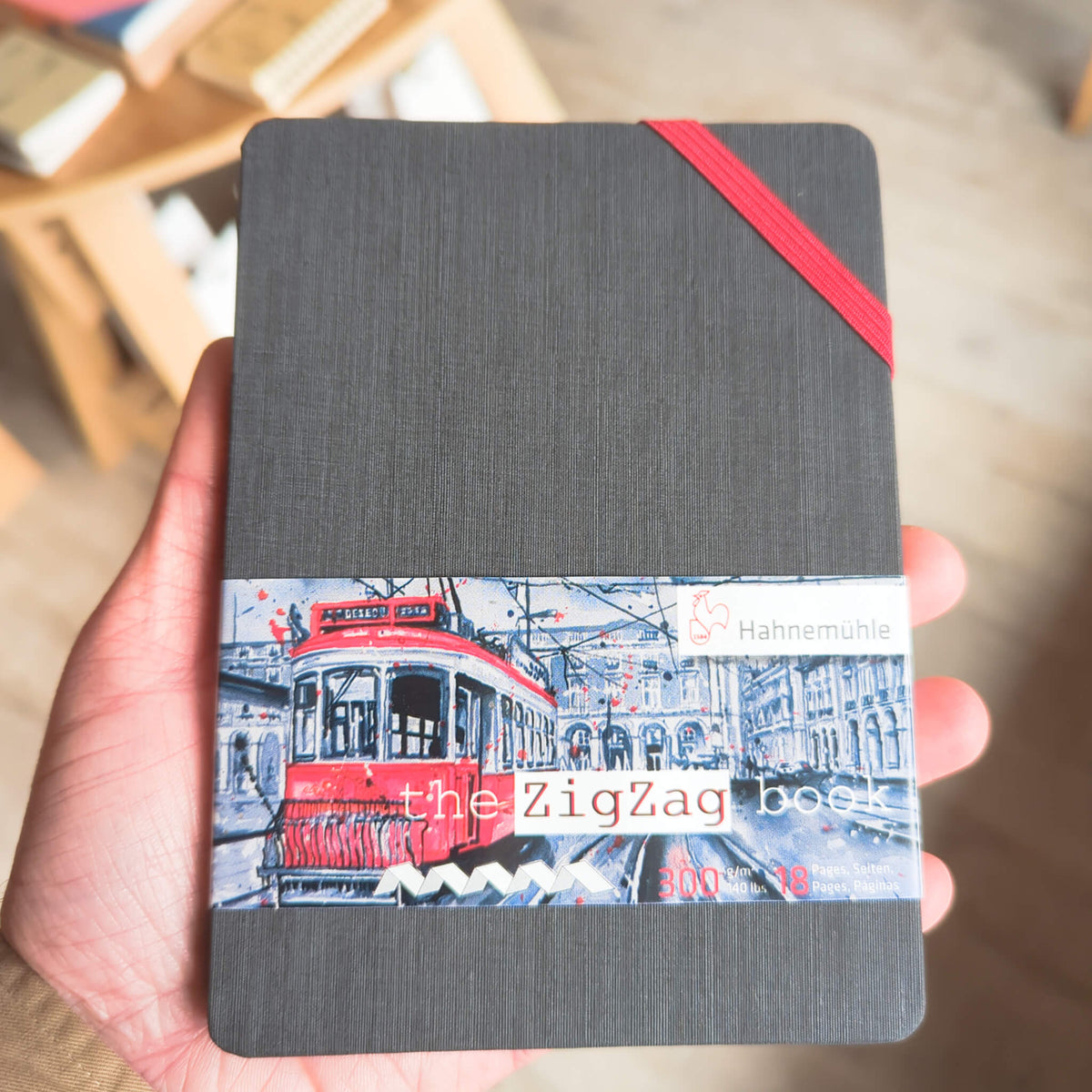Hahnemuhle Zigzag Accordion 300gsm Watercolour Sketchbook A6